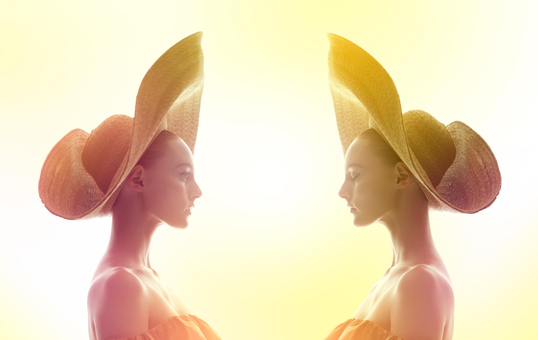 Jeff Stephens - Iconic Fashion silhouettes