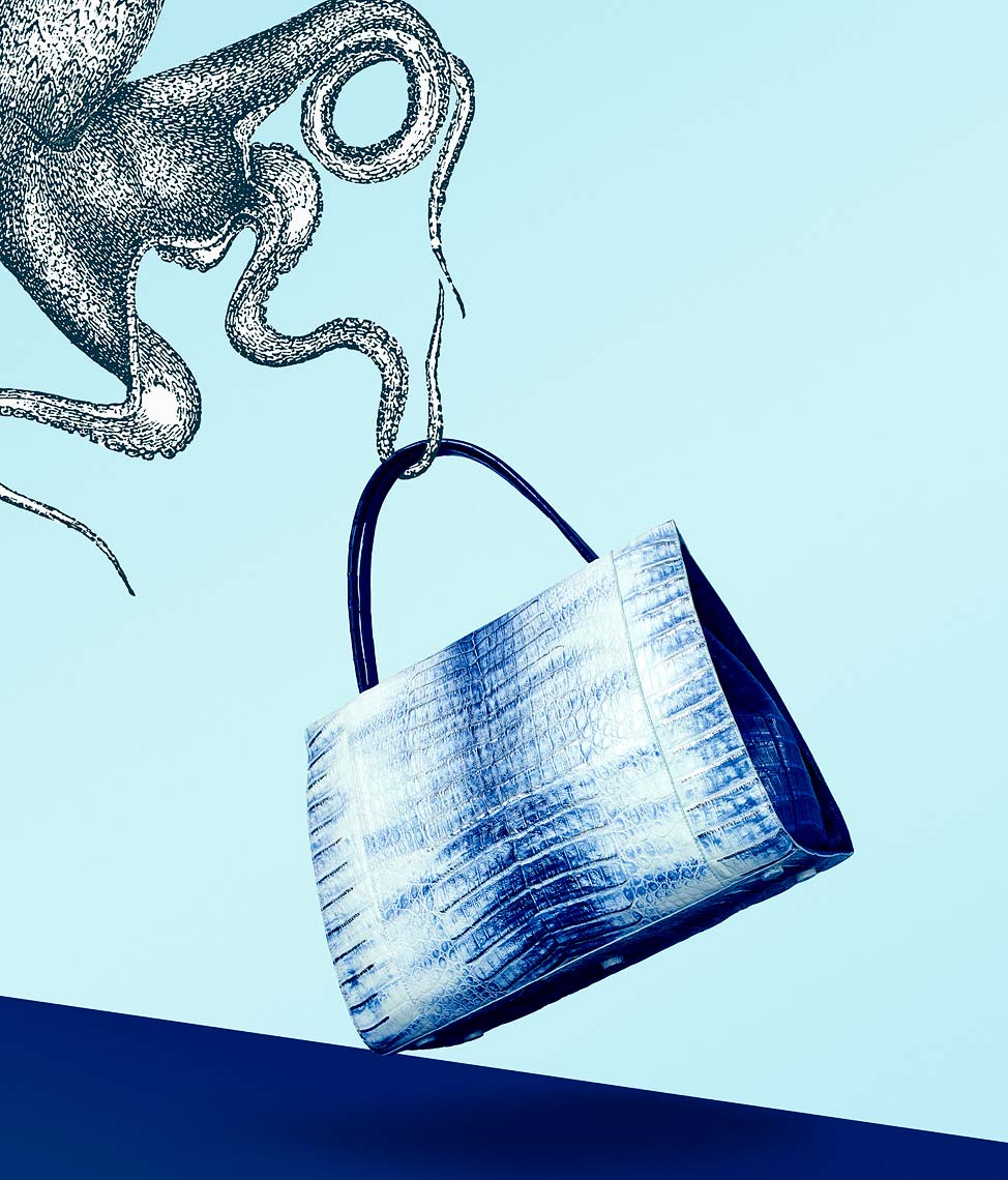 Jeff Stephens | Sea life illustrations with Shoe and Handbags 