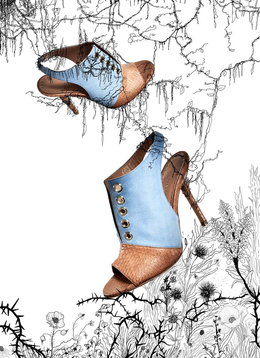 Jeff Stephens | Laura Hall illustration with designer shoe